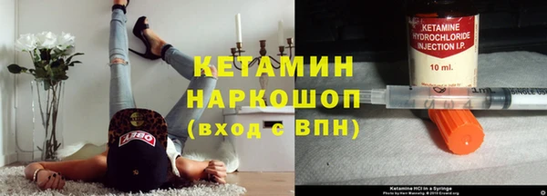 ПСИЛОЦИБИНОВЫЕ ГРИБЫ Осинники