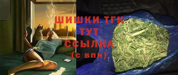 ПСИЛОЦИБИНОВЫЕ ГРИБЫ Осинники
