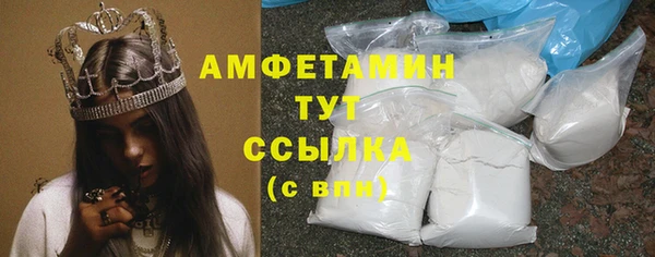 ПСИЛОЦИБИНОВЫЕ ГРИБЫ Осинники