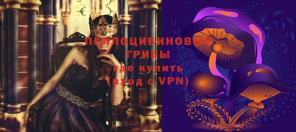 скорость Бородино