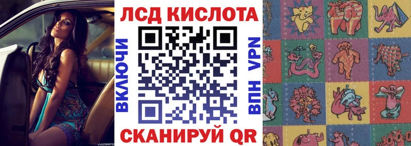 kraken ССЫЛКА  Шлиссельбург  Марки N-bome 1500мкг  где купить наркоту 